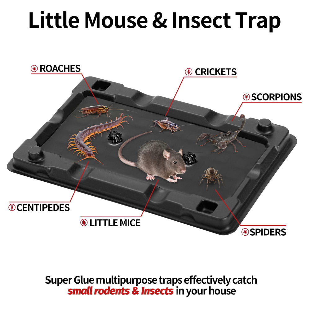 LULUCATCH mouse glue trap set ready for indoor placement.