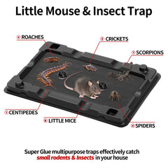 LULUCATCH mouse glue trap set ready for indoor placement.