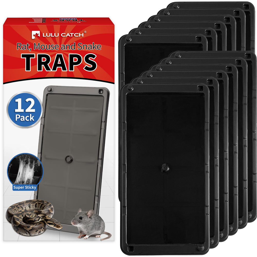 LULUCATCH large-tray glue trap captures mice indoors with secure placement.