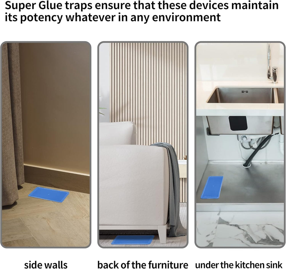 LULUCATCH placement along walls to maximize capture opportunities.
