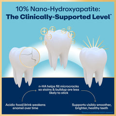 Lumineux enamel smoothing action illustrated on tooth model for even light reflection