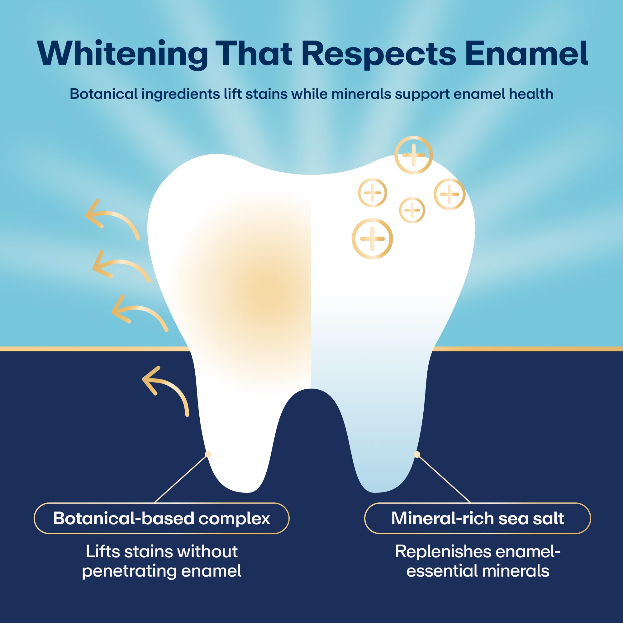 One Lumineux whitening strip ready for daily use