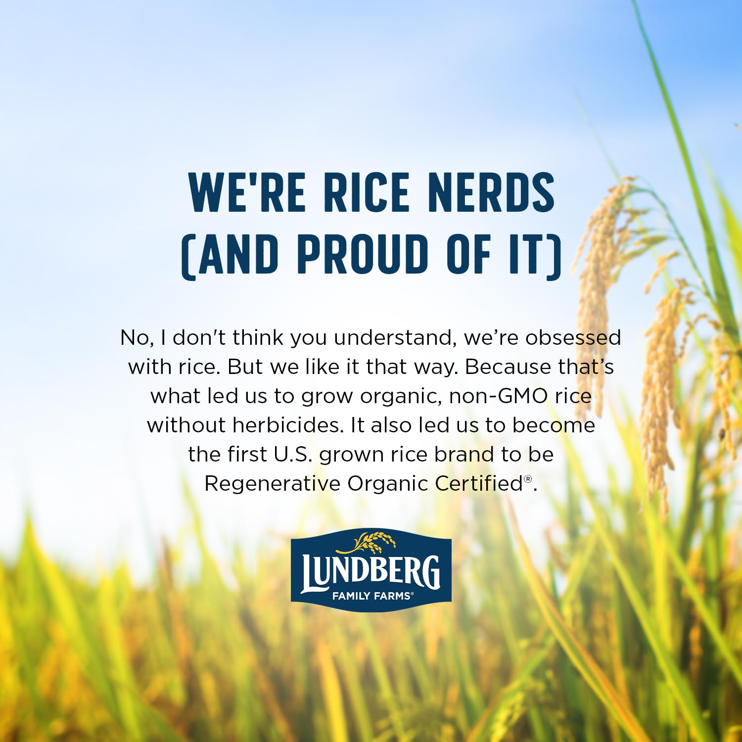Lundberg Organic Rice in reclosable 2lb bag for meal prep