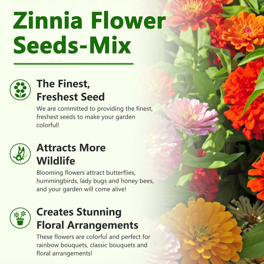 LUOJIBIE zinnia border garden idea with bold color throughout the bed