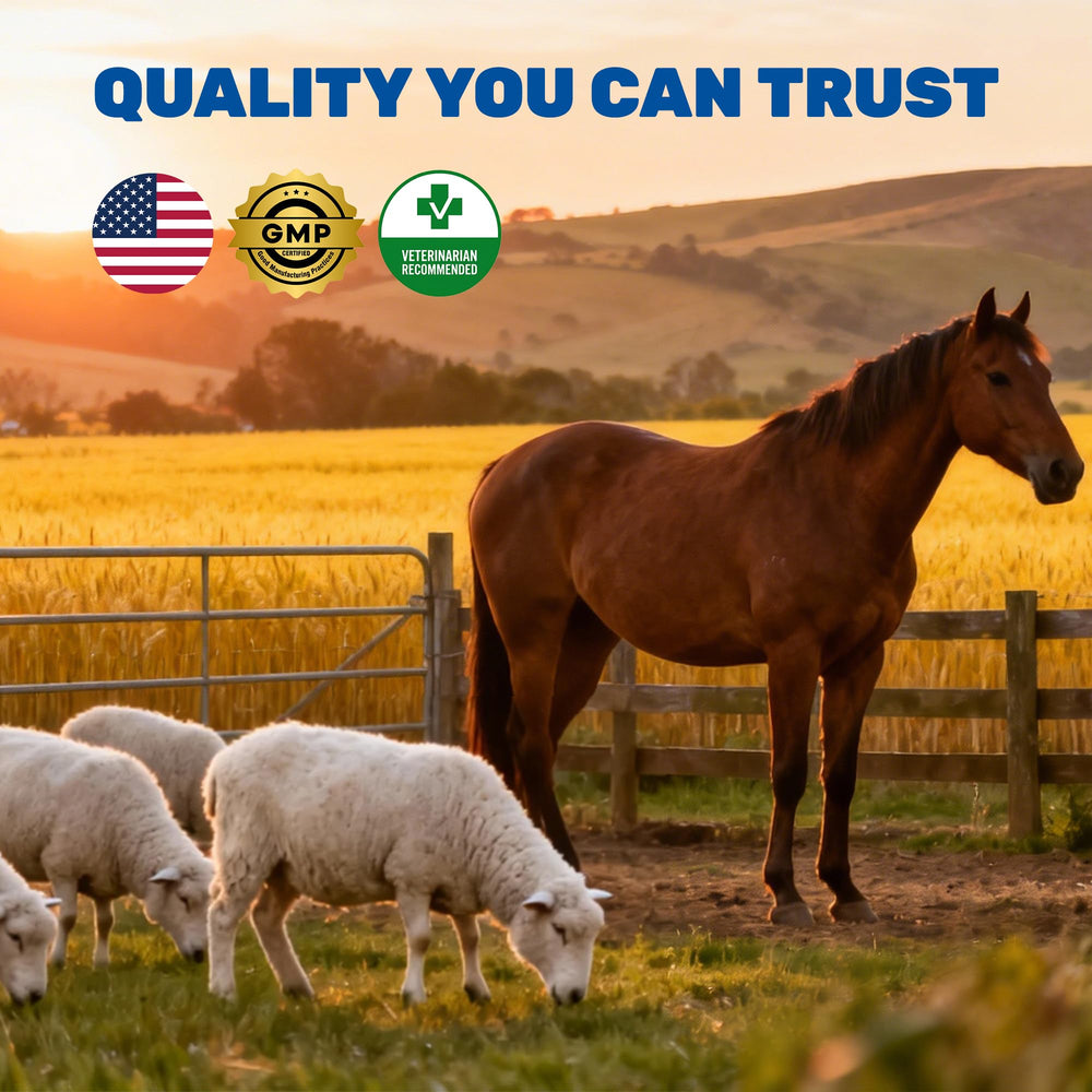 Luxekem dewormer promotes energy and a shiny coat after treatment.