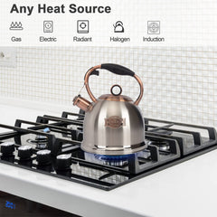 LuxGrace 3.0 qt tea kettle top view highlights generous capacity.