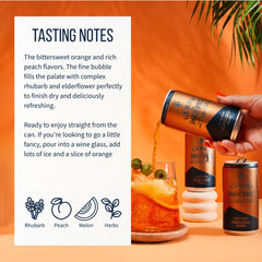 Two glasses of Lyre's Amalfi Spritz with orange garnish