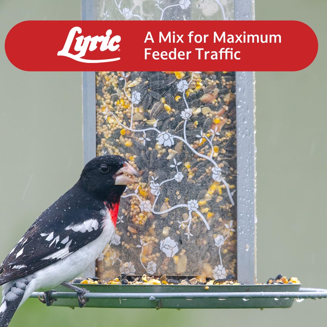 Lyric Supreme Wild Bird Seed backyard birds enjoying a lively feeding moment.