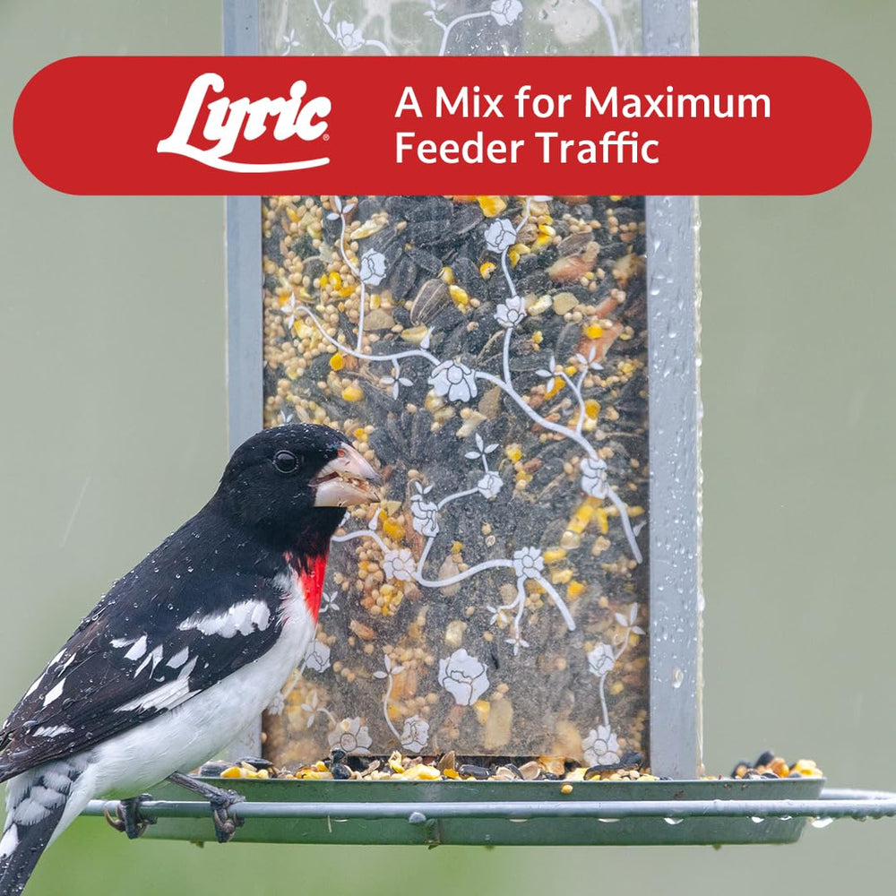 Lyric Supreme Wild Bird Seed backyard birds enjoying a lively feeding moment.