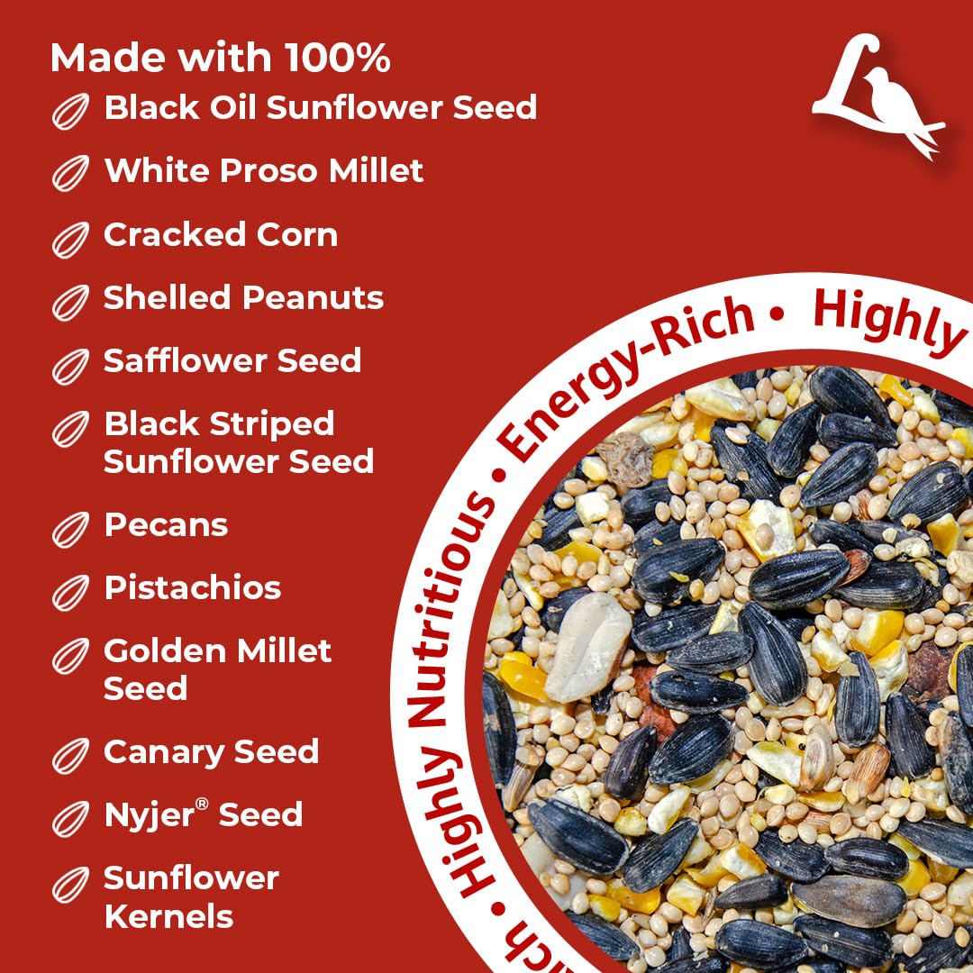 Lyric Supreme Wild Bird Seed nuts and seeds mix supports varied backyard foraging.