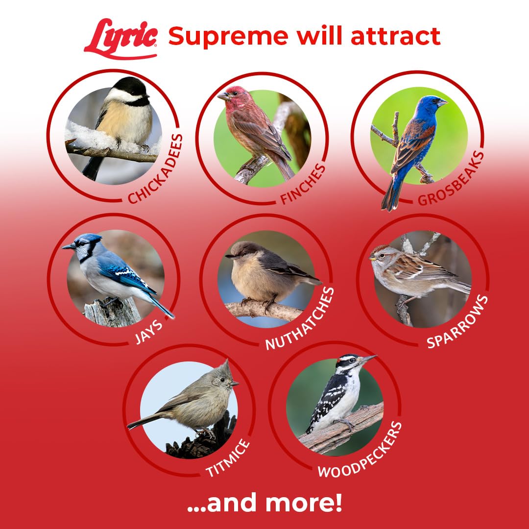 Lyric Supreme Wild Bird Seed shelled peanuts and corn provide protein-rich bites.