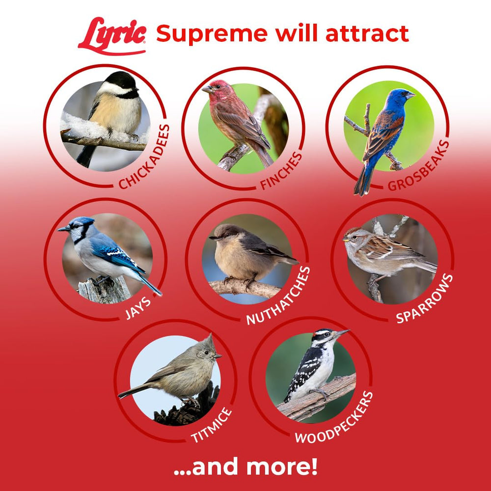 Lyric Supreme Wild Bird Seed shelled peanuts and corn provide protein-rich bites.
