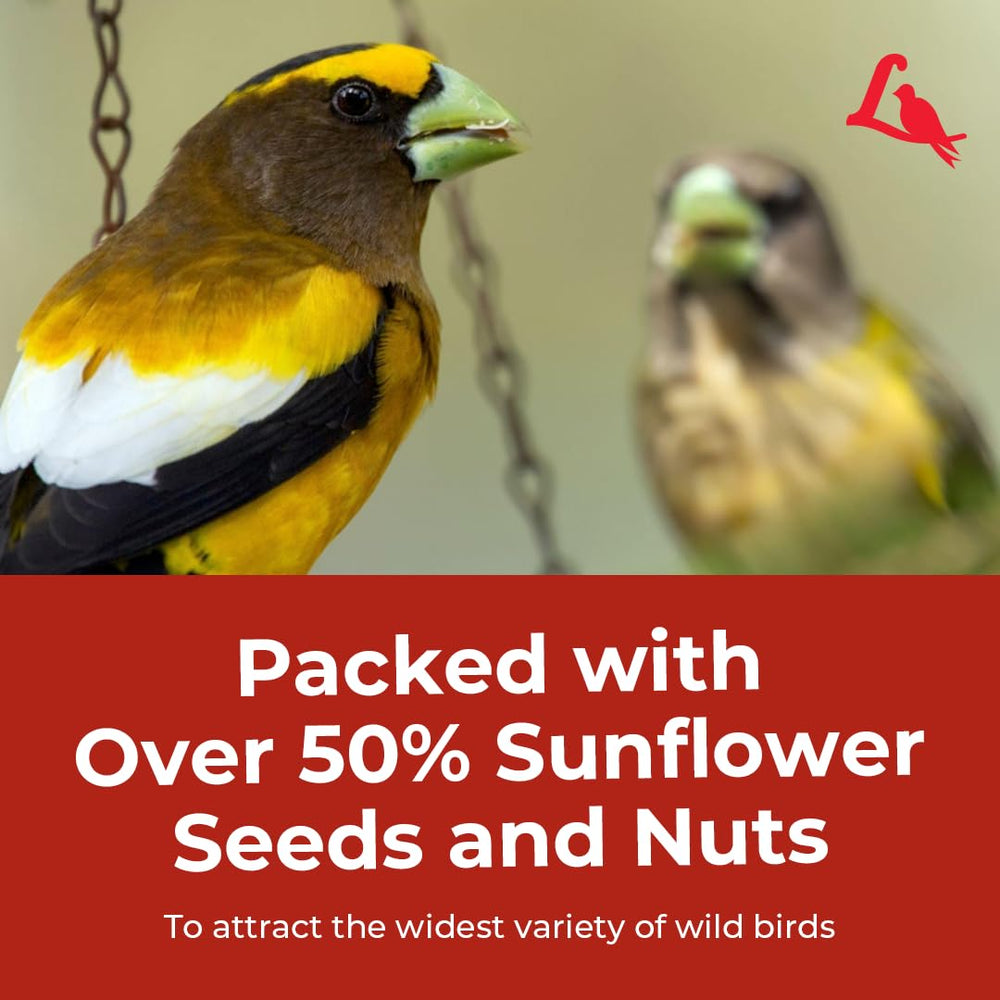 Lyric Supreme Wild Bird Seed window feeder setup enables easy viewing of birds.