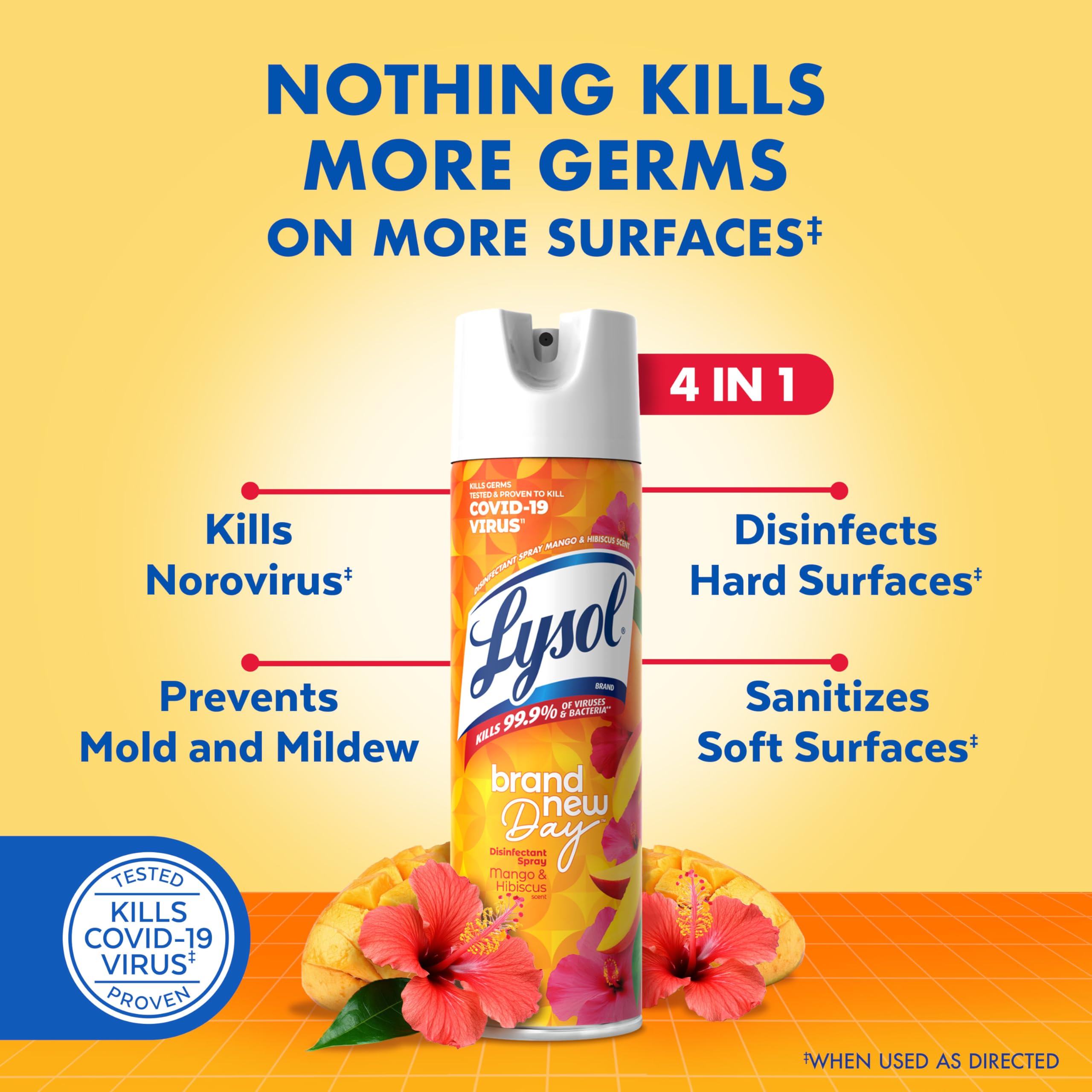 Lysol Mango Hibiscus label closeup with scent and safety notes
