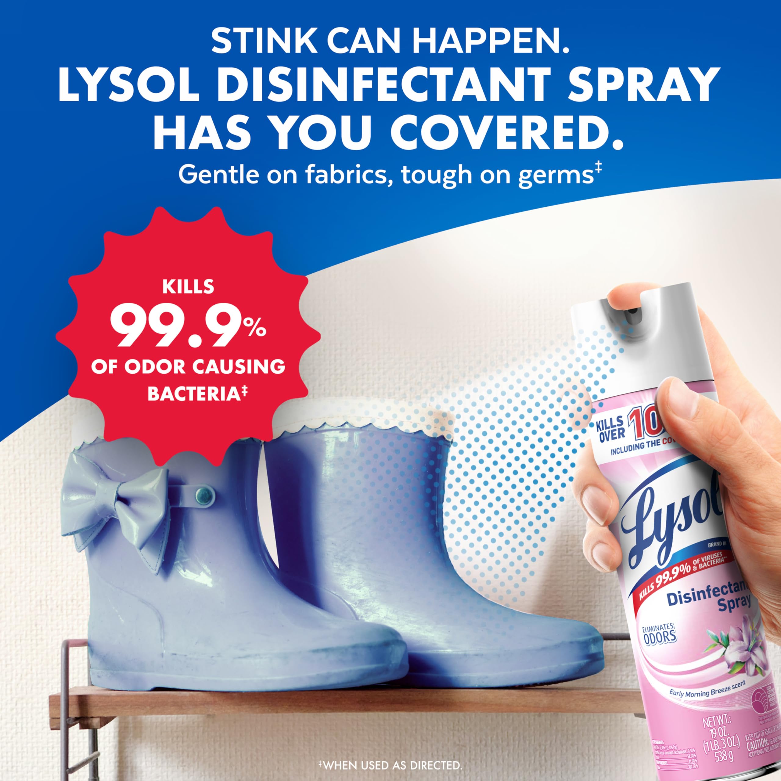 Lysol spray applied to soft surfaces such as couches and fabrics.