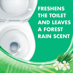 Lysol Forest Rain gel coating the bowl for deep cleaning