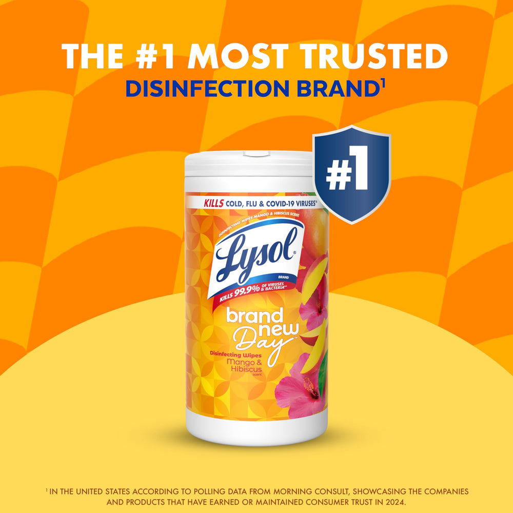 Lysol Wipes travel-ready cleaning kit visual for on-the-go sanitizing.