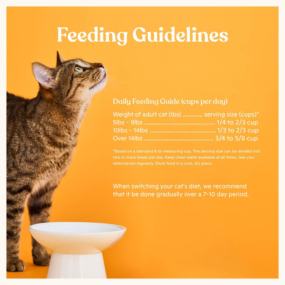 Formule sans colorants, arômes ni conservateurs pour chats sensibles.
