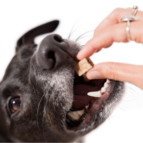 Maev diet-friendly liver snack offering a natural, protein-rich option for training