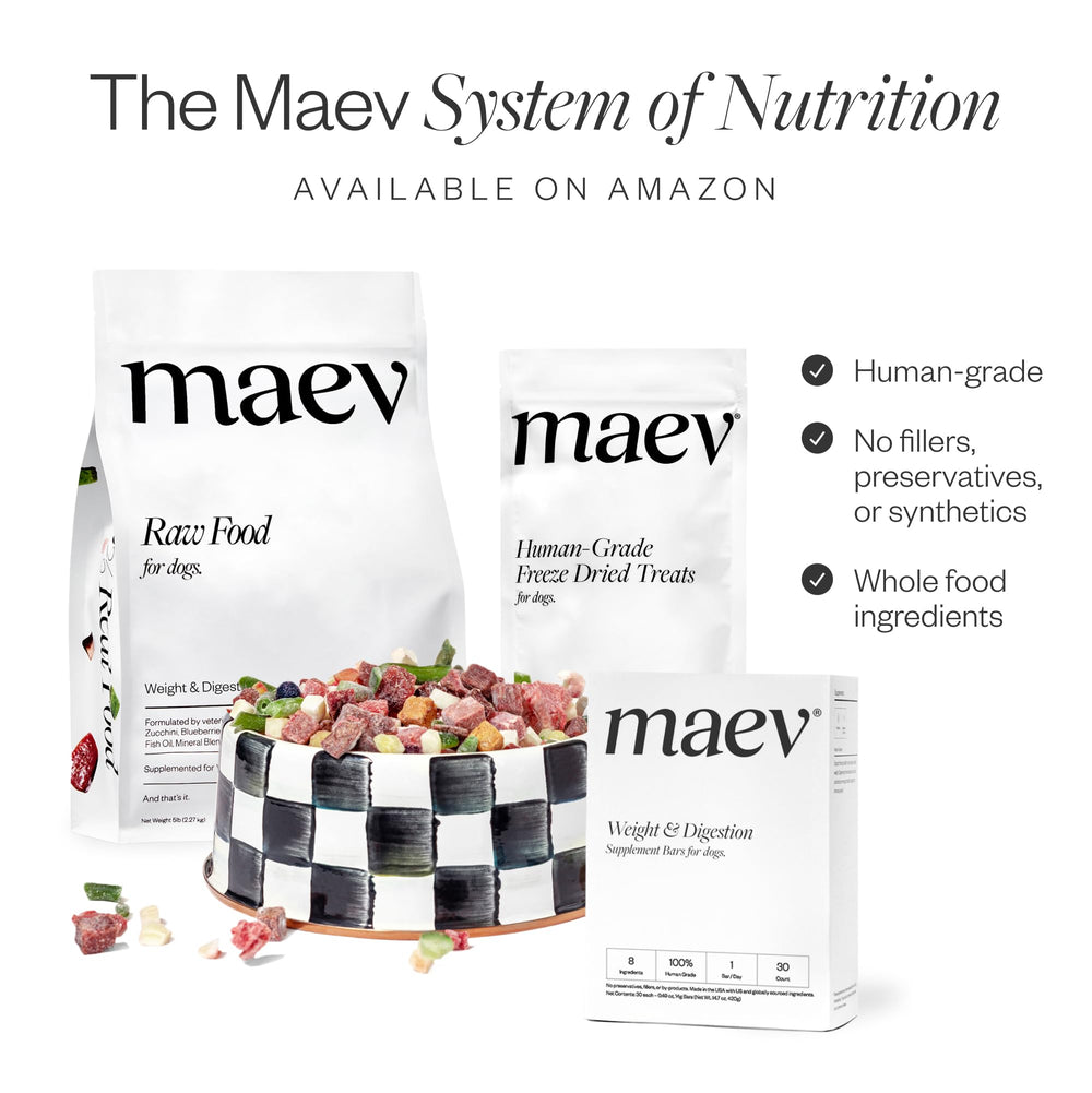 Maev pure beef liver treat conveying 100 percent single-ingredient goodness for dogs