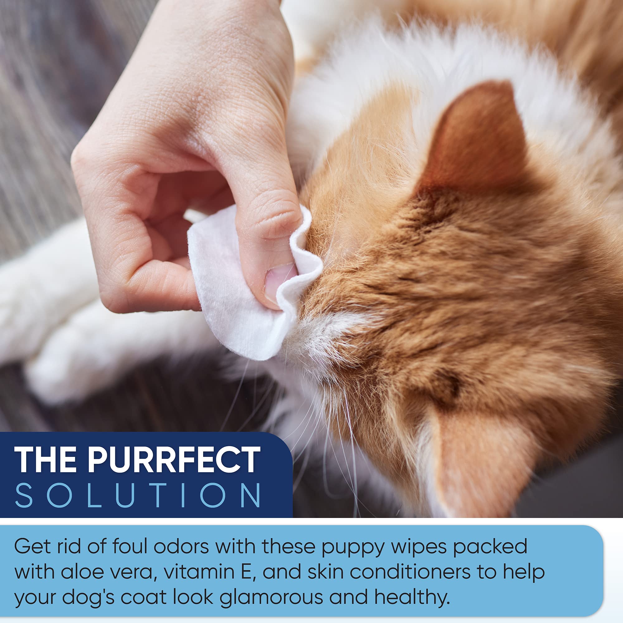 MAGICARE Pet Wipes with aloe vera support daily coat care