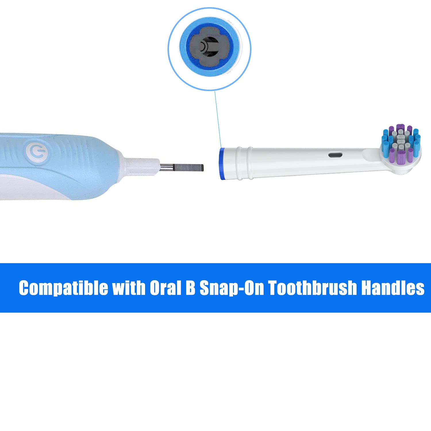 Soft bristle tips contact the gumline gently.