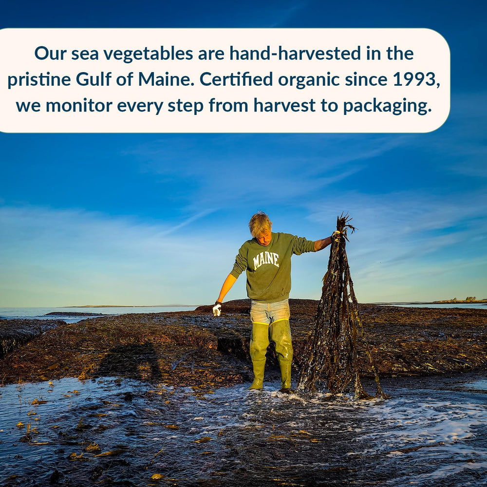 Maine Coast Sea Vegetables dulse in a smoothie for mineral boost.