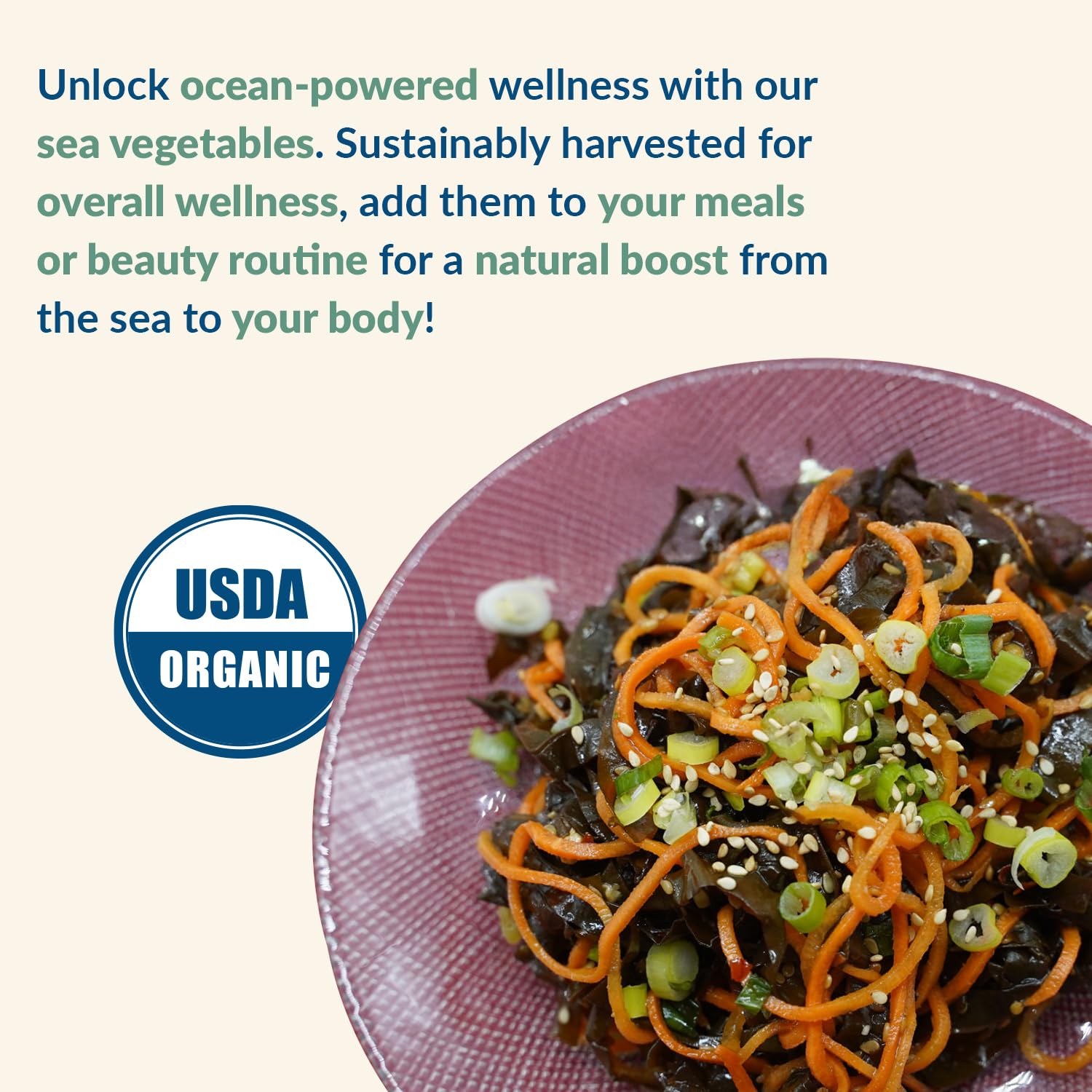 Maine Coast Sea Vegetables dulse leaf snack bite for on-the-go cravings.