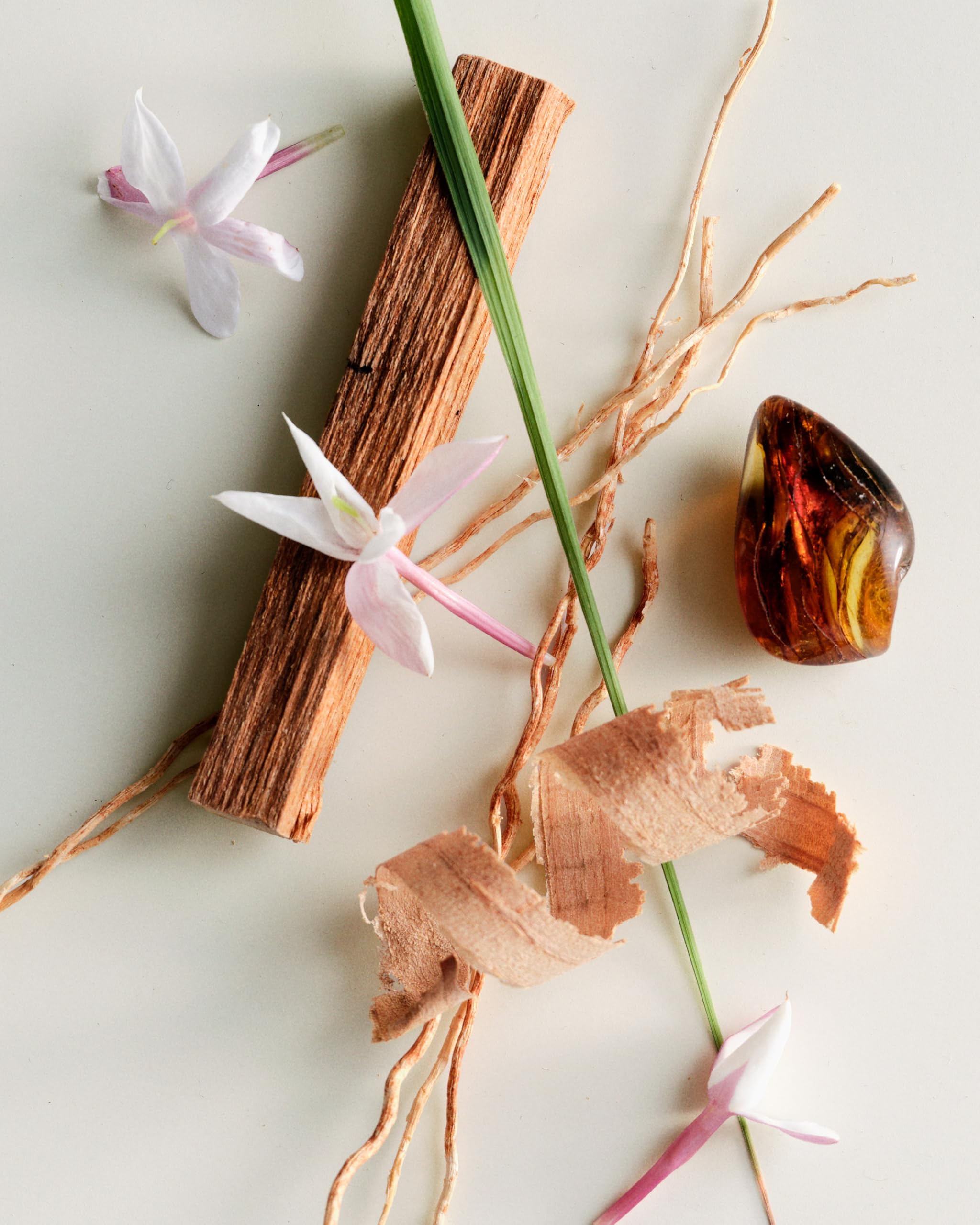 Maison Louis Marie No.04 Bois de Balincourt packaging detail showing vegan, cruelty-free promise.