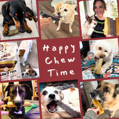 Majestic Pet Himalayan Cheese Dog Chews natural recipe with no artificial colors