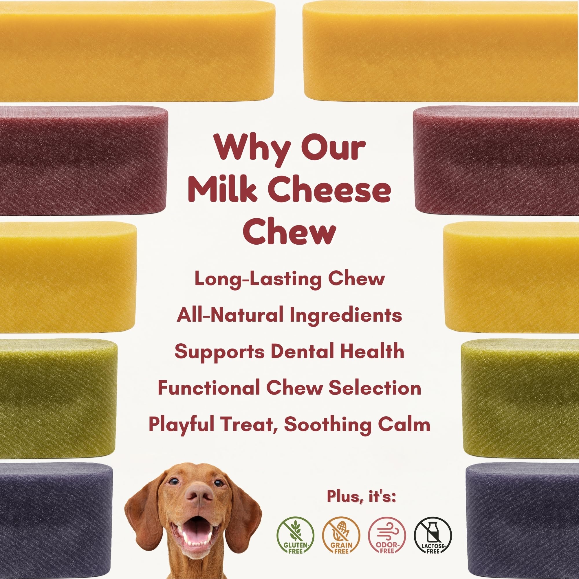 Majestic Pet Himalayan cheese chews for medium to large dogs protein-rich chew