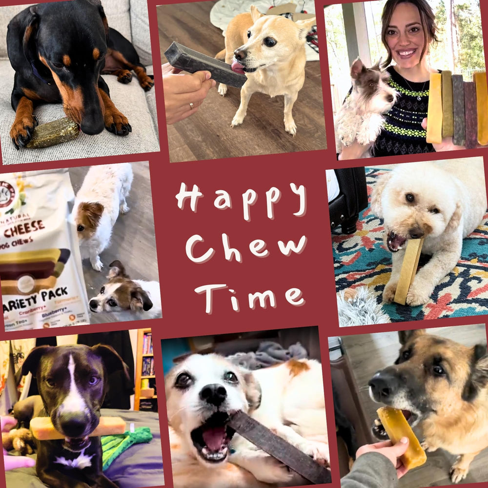 Majestic Pet Himalayan cheese chews no artificial ingredients pure dairy-based snack