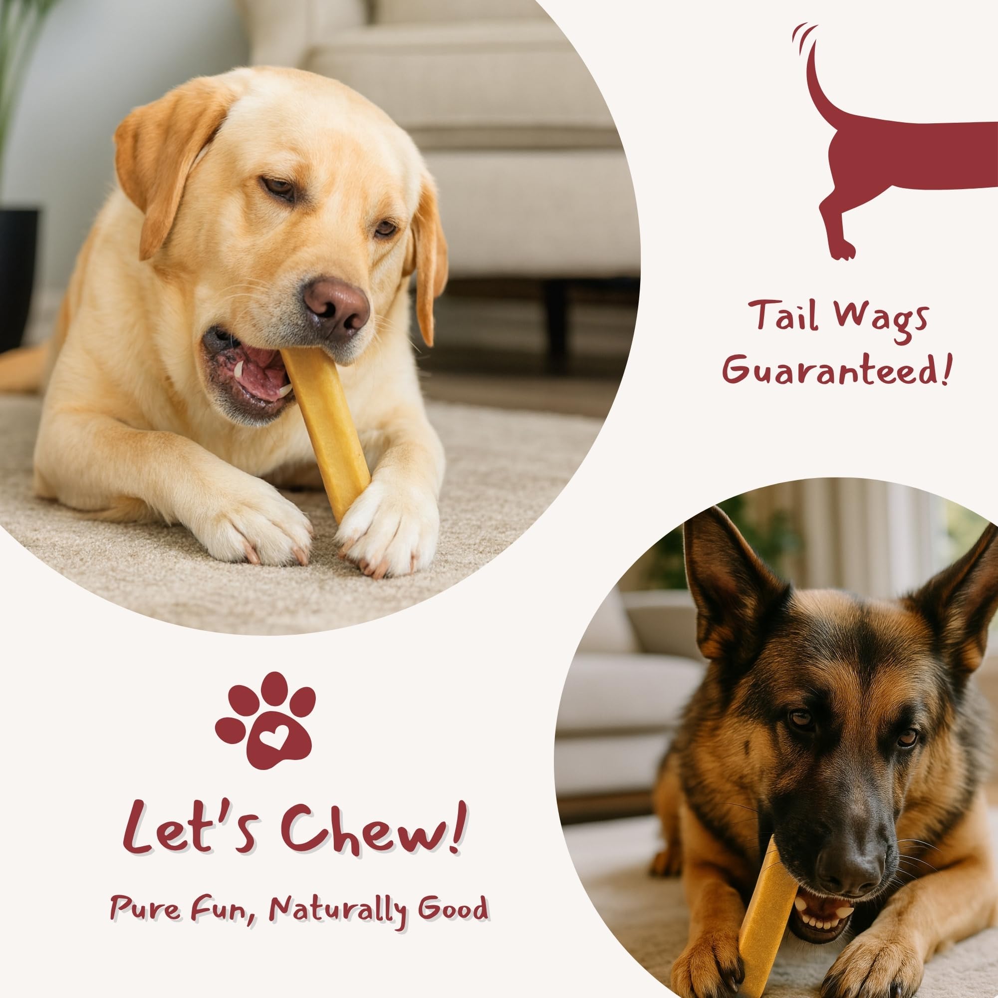 Majestic Pet Himalayan Cheese Dog Chews supports dental care through chewing