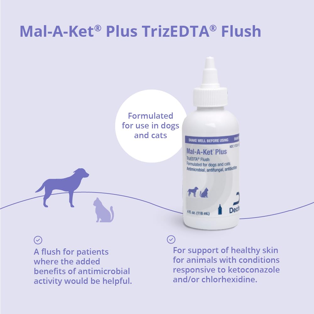 Cat ear care using Mal-A-Ket Plus TrizEDTA flush.