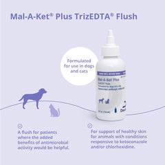 Cat ear care using Mal-A-Ket Plus TrizEDTA flush.