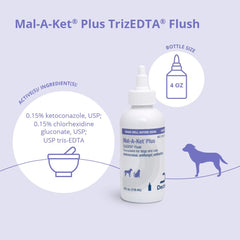 Dog ear treatment with Mal-A-Ket Plus TrizEDTA flush.
