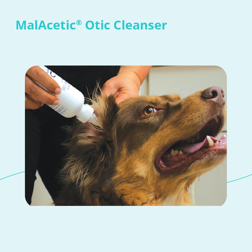 MalAcetic Otic Cleanser demonstrates routine ear care for dogs, cats, and horses