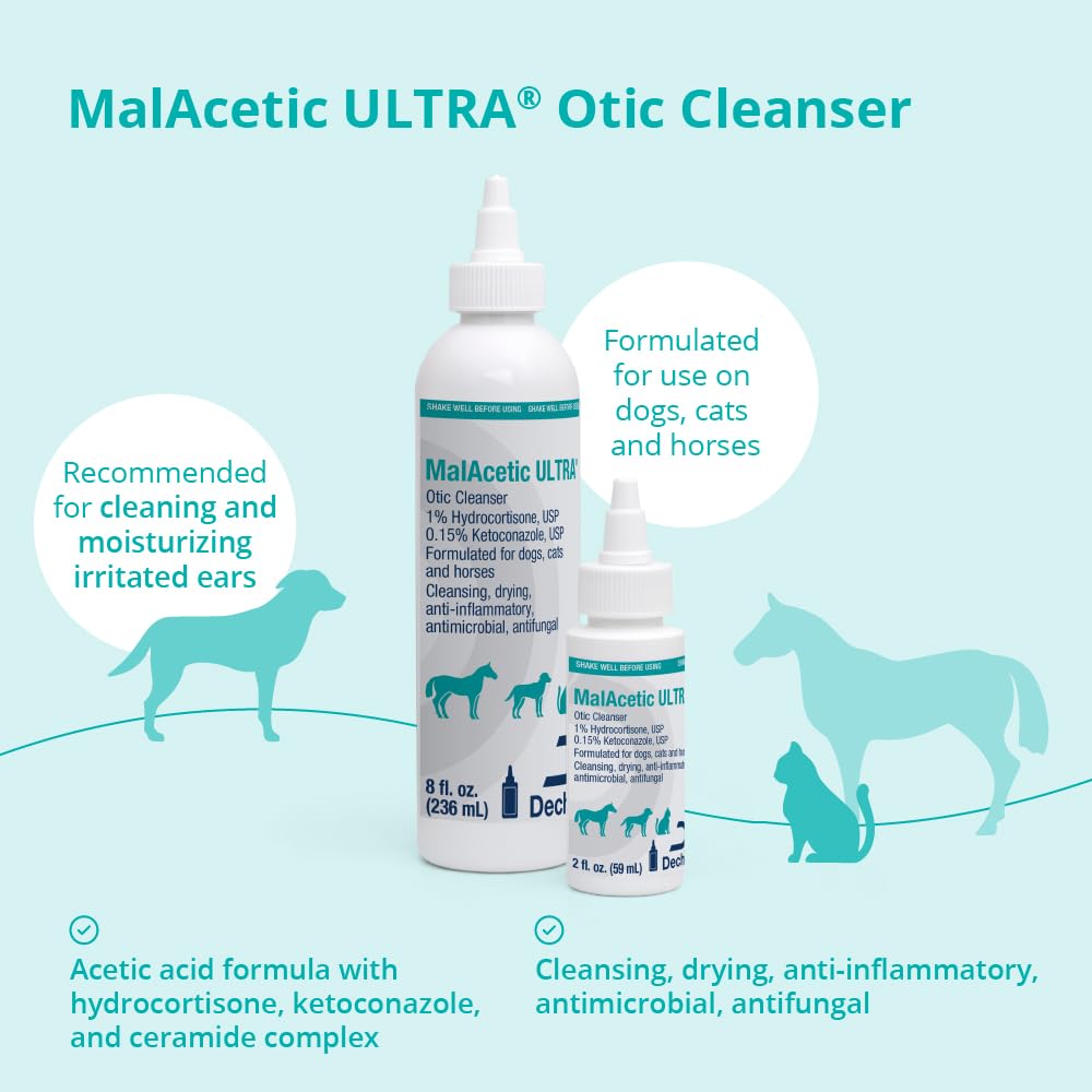 MalAcetic Ultra after-use ear-care scene showing clean, dry ears.
