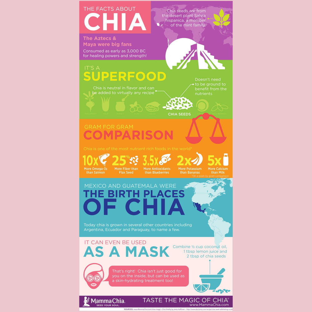 Mamma Chia Strawberry Lemonade Pouch showing portable squeeze format.