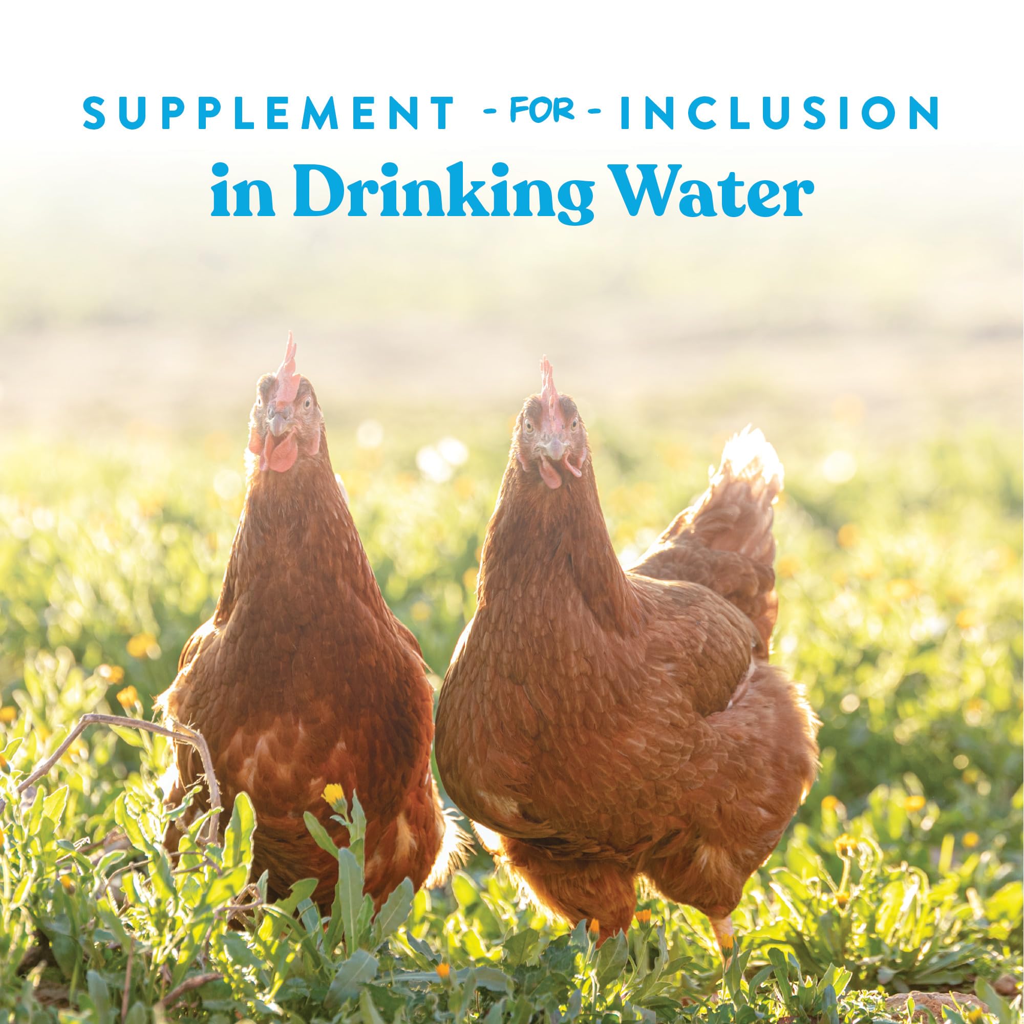 Manna Pro Hydro-Hen label closeup highlights probiotic and acidifier blend.