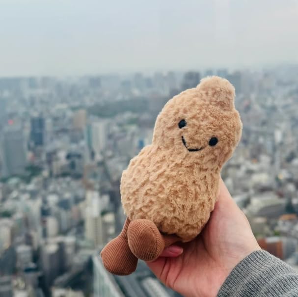 Maomoto Plush Peanut as a gift idea for birthdays