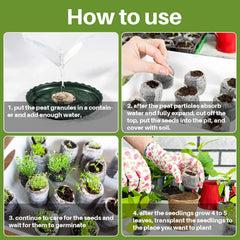 Maqihan transplant-ready pellets simplify moving seedlings to soil