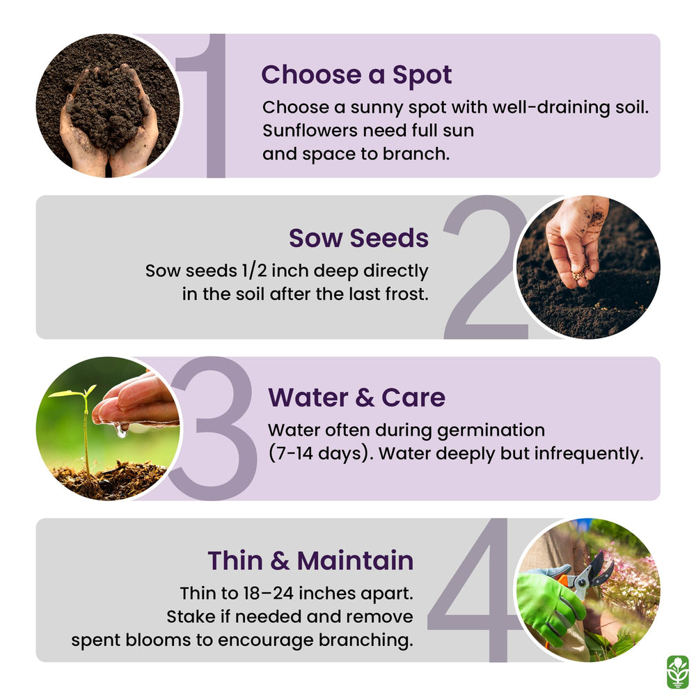 Marde Ross non GMO neonic free seed label on pack
