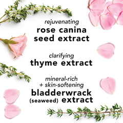 Mario Badescu Rosewater face mist applied to the skin for a dewy finish.