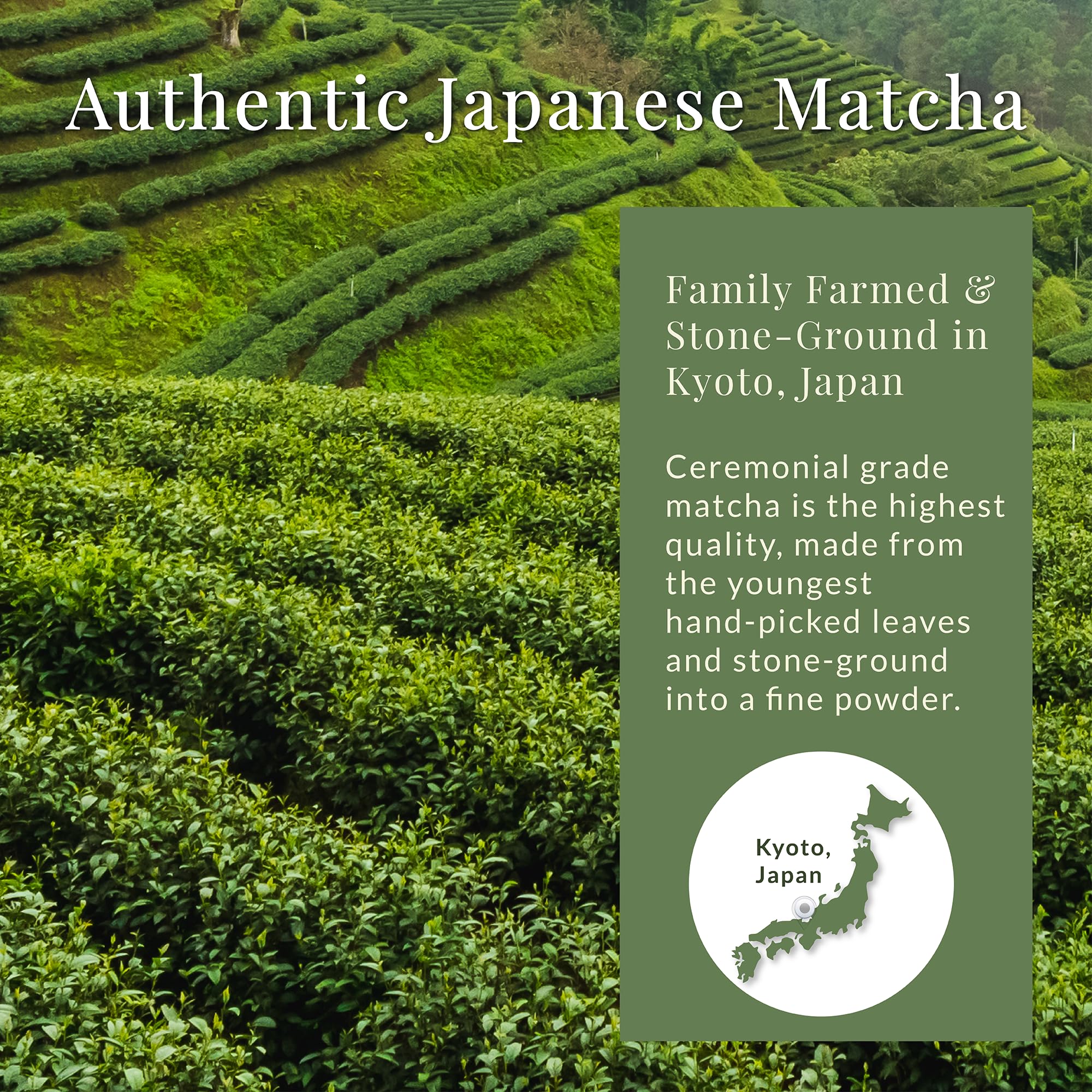 Matcha Sunday logo and branding for premium Japanese tea.