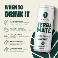 Mateina air-dried yerba mate processing scene highlights sustainable sourcing.