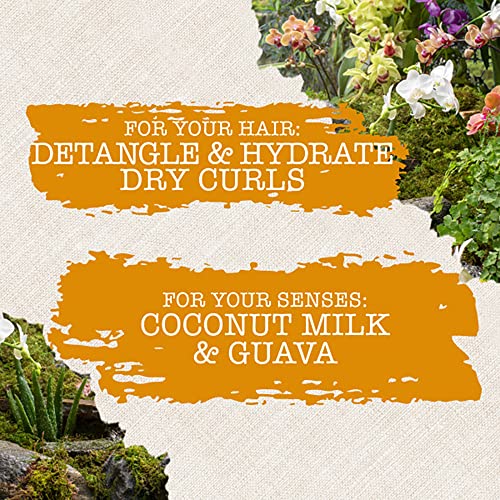 Maui Moisture Nourish & Moisture Coconut Milk scent visual hints at tropical aroma.