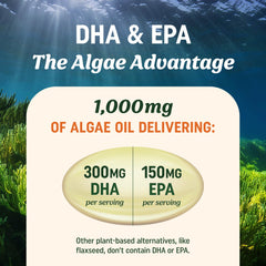 Pouring MAV Nutrition algae oil softgels into a hand.
