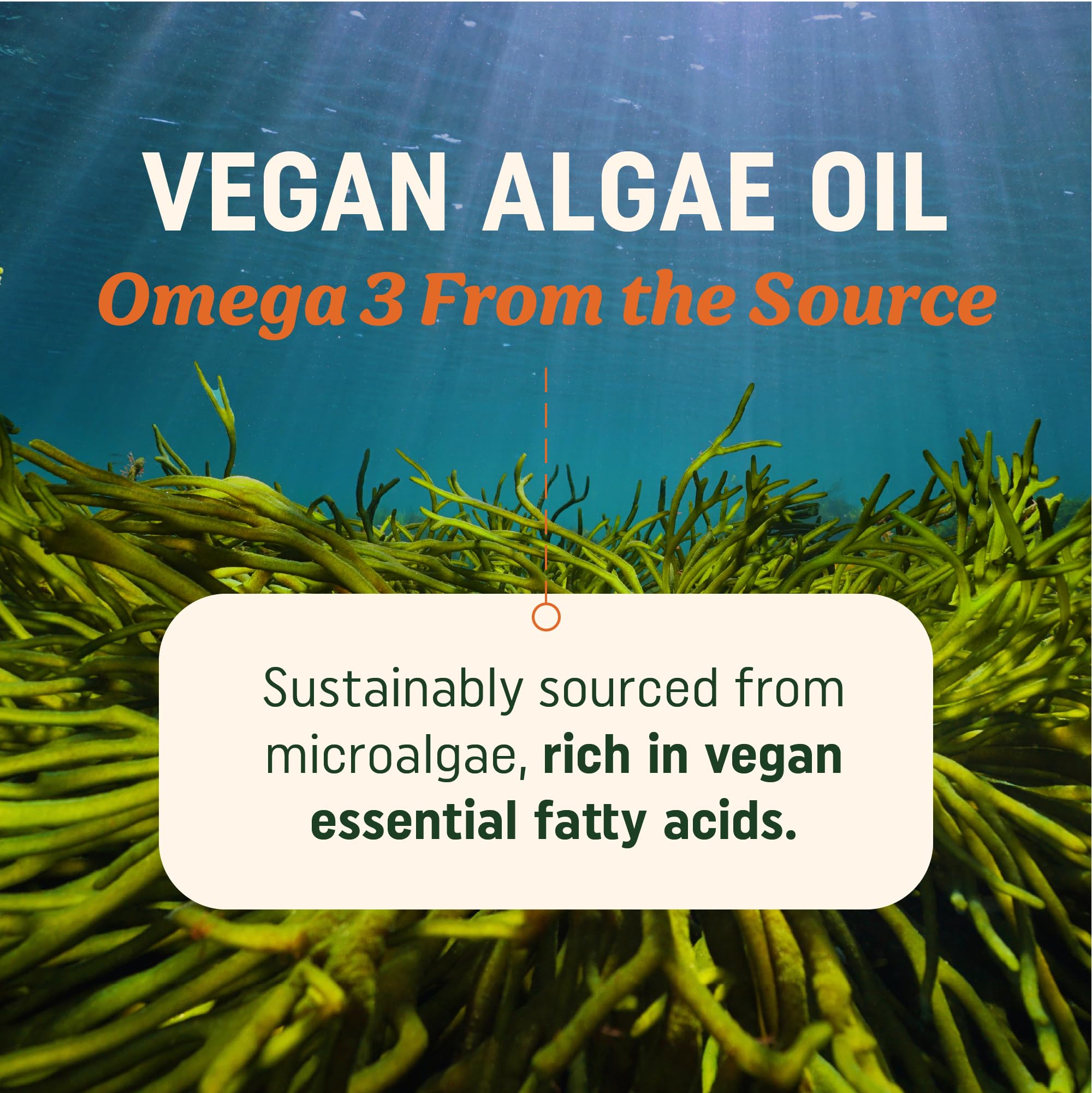 Close up of MAV Nutrition vegan omega3 softgels showing easy to swallow capsules