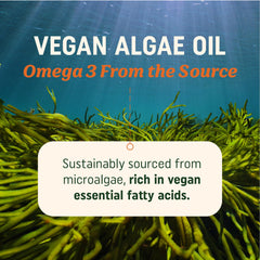 Close up of MAV Nutrition vegan omega3 softgels showing easy to swallow capsules